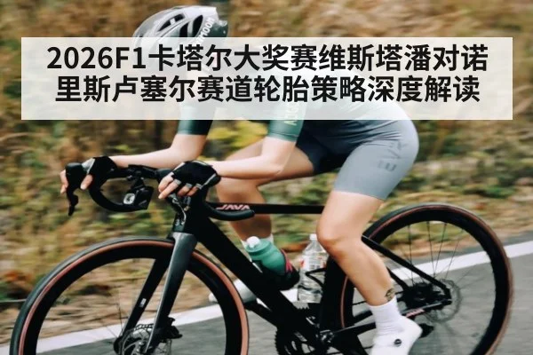 2026F1卡塔尔大奖赛维斯塔潘对诺里斯卢塞尔赛道轮胎策略深度解读
